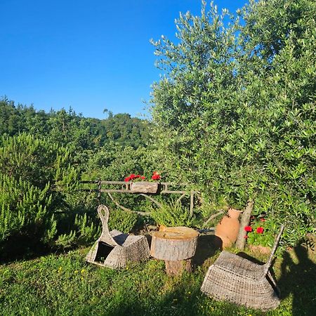 San Martino Country Villa B&B باربيرينو دي موجيلو المظهر الخارجي الصورة