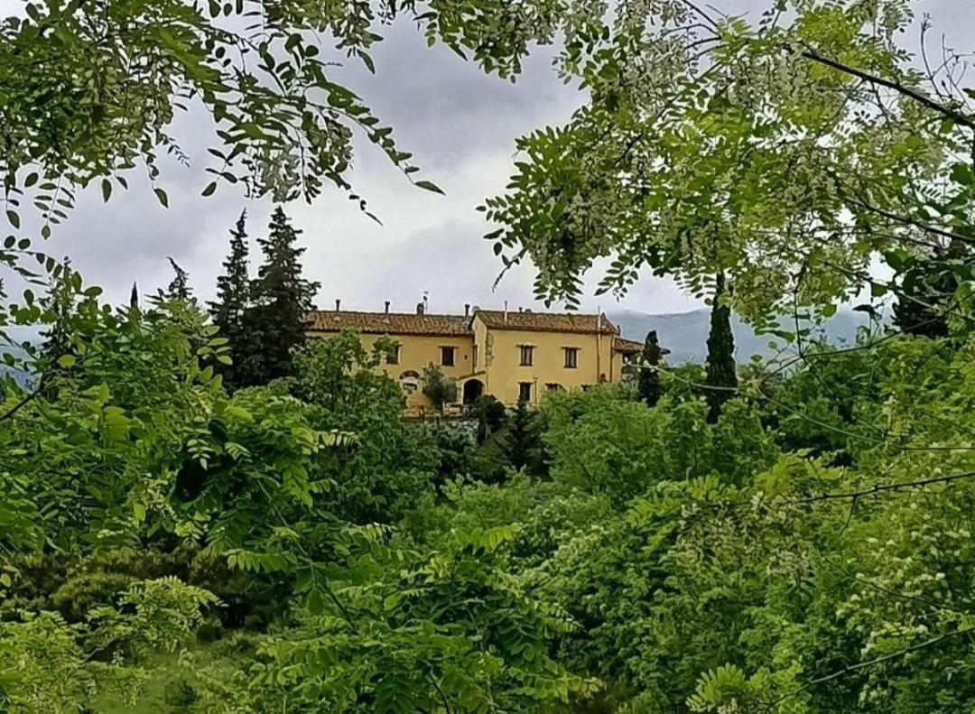 San Martino Country Villa B&B باربيرينو دي موجيلو المظهر الخارجي الصورة