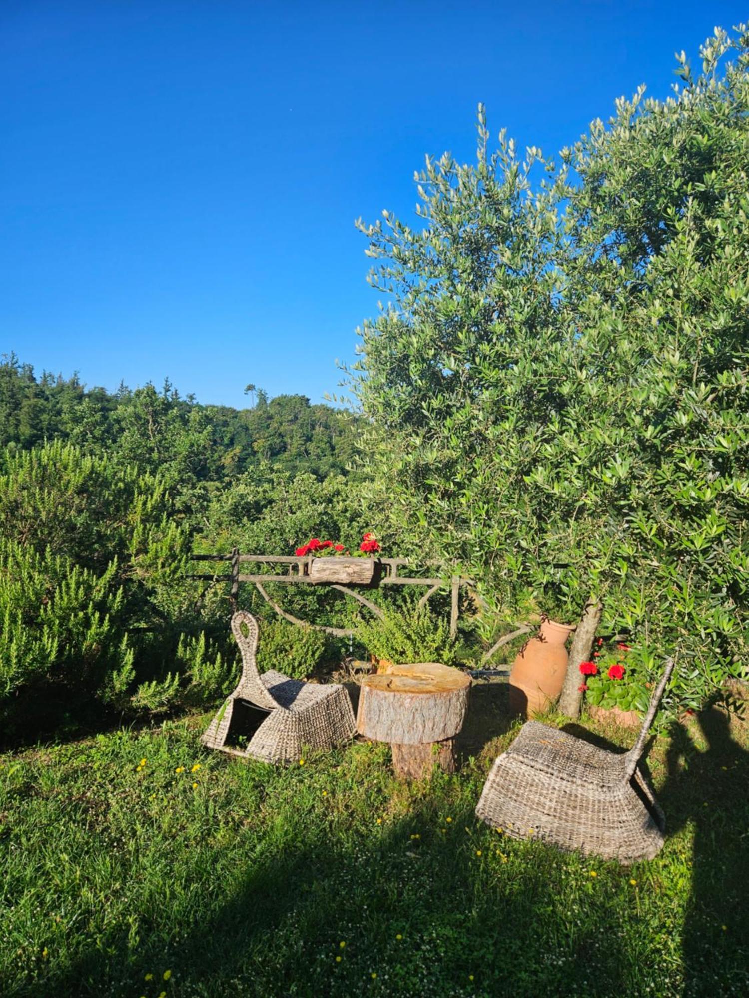 San Martino Country Villa B&B باربيرينو دي موجيلو المظهر الخارجي الصورة