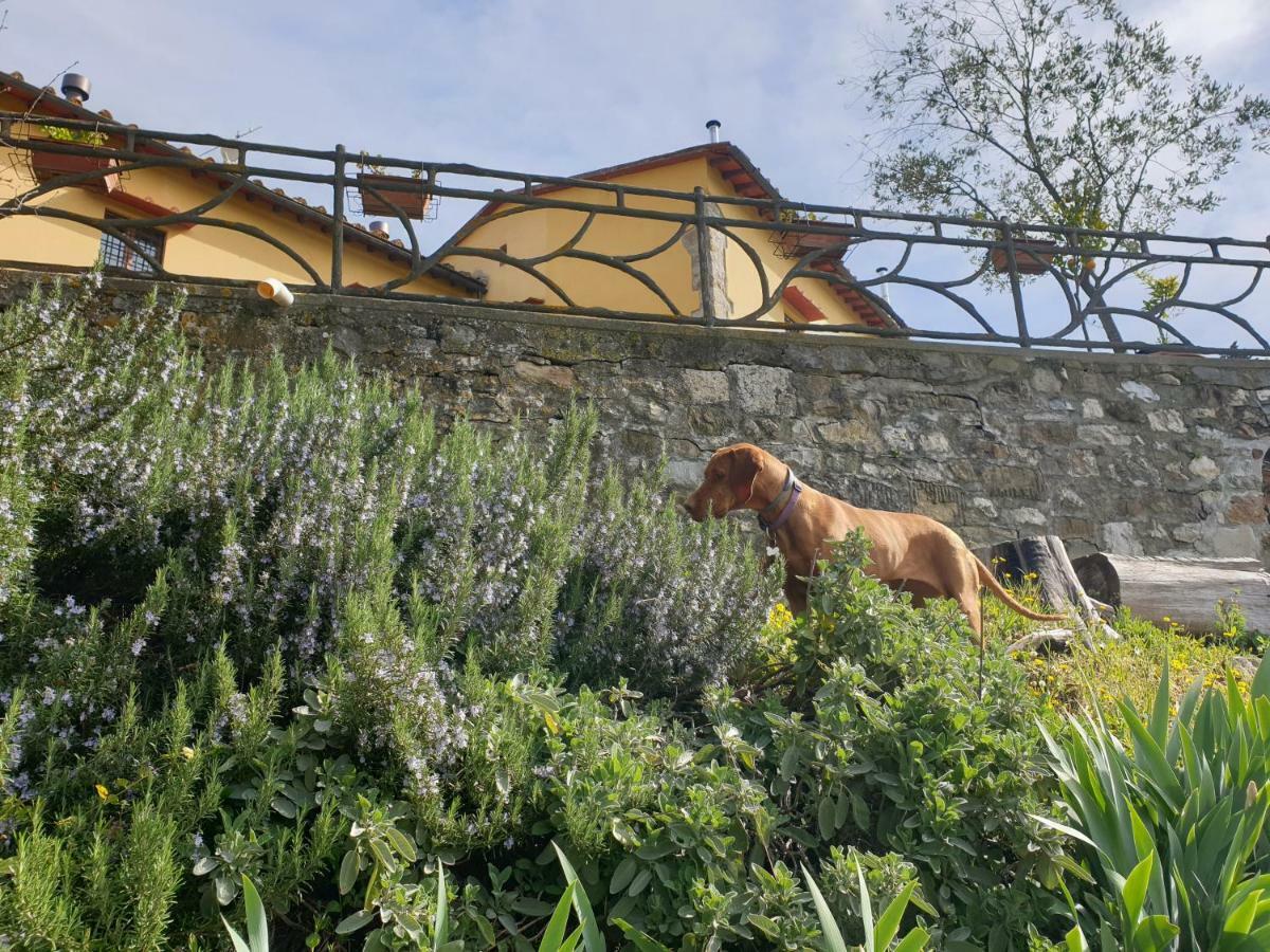 San Martino Country Villa B&B باربيرينو دي موجيلو المظهر الخارجي الصورة