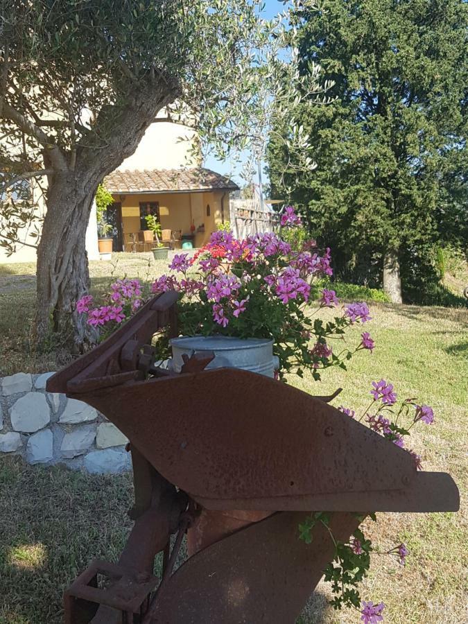 San Martino Country Villa B&B باربيرينو دي موجيلو المظهر الخارجي الصورة