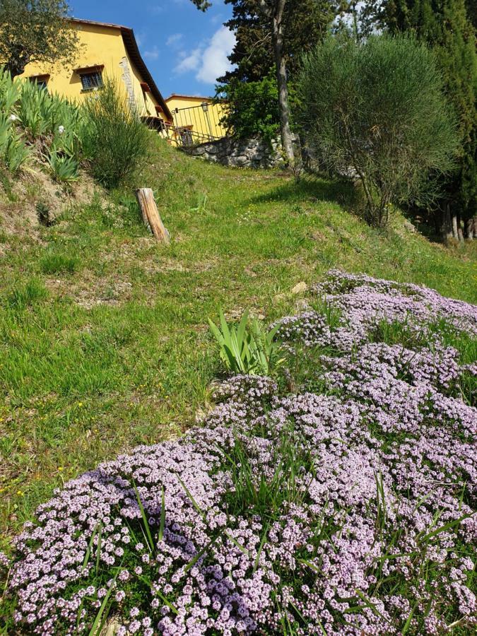 San Martino Country Villa B&B باربيرينو دي موجيلو المظهر الخارجي الصورة